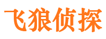 从化婚外情调查取证